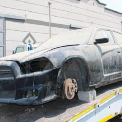 “حساب المواطن” يوضح المقصود بـ”عائلة فاقد الأهلية” ومدى إمكانية الحصول على الدعم