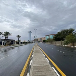 وزير الخارجية: 8% من سكان العالم قد يواجهون الجوع في 2030