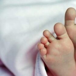 “البنك المركزي”: 395 شركة مرخص لها في المملكة.. وهذا القطاع يتصدر