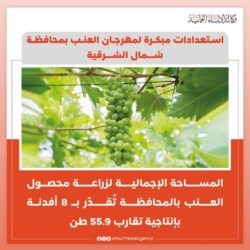 “الشبو المخدر”.. رحلة مميتة تبدأ بـ”السخونة” وتنتهي بـ”السكتة”