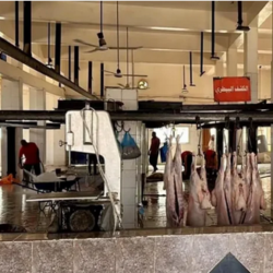 رسميا.. نيوكاسل يعلن ضم تونالي