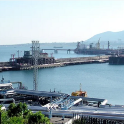 خادم الحرمين الشريفين يصدر أمرًا ملكيًا بترقية 34 قاضيًا بديوان المظالم