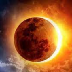 3 أطعمة تزيد تساقط الشعر