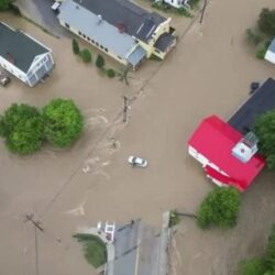 “كرنفال التمور” ينطلق في بريدة لتسويق 45 نوعاً