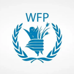 87 وظيفة شاغرة لدى الخدمات الصحية بوزارة الدفاع