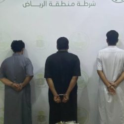 وزير #الثقافة يُعلن زيادة نسبة دعم التوظيف في 160 مهنة ثقافية إلى 50%