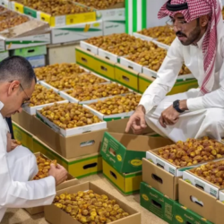 #الداخلية : ضبط (14) متورطاً وأكثر من 15 ألف مخالفاً لأنظمة الإقامة والعمل وأمن الحدود