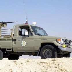 خلال أسبوعين.. «طيران ناس» يتسلم 4 طائرات جديدة من طراز إيرباص A320neo