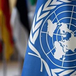 وصول أول إرسالية مواشي حية من أستراليا بعد توقف 13 عاماً.