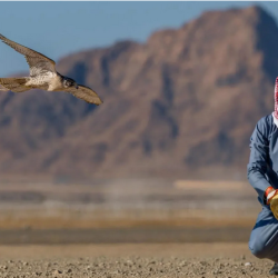 #بالصور .. سمو أمير الشرقية يستقبل سمو نائبه بعد الأمر الملكي بتعيينه