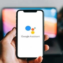 الجمعية العامة للأمم المتحدة تصوت بالأغلبية “لصالح عضوية فلسطين الكاملة”