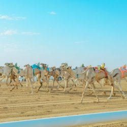 بدء التسجيل في النسخة السابعة من برنامج تأهيل القيادات الشابة للتواصل العالمي