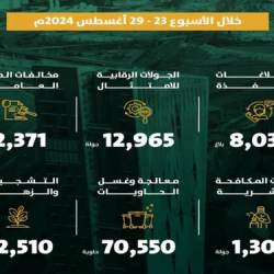 شرطة المدينة المنورة تقبض على مقيم لتحرشه بامرأة