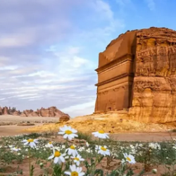 القادسية يحل ثانيا في جائزة “المسؤولية الاجتماعية”