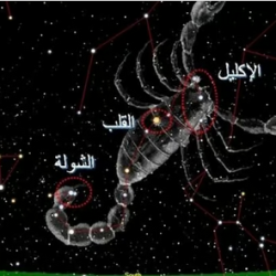 “التعاون الإسلامي” ترحب بالقرار الأممي بطلب فتوى “العدل” بشأن “التزامات إسرائيل”