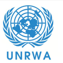 “التعاون الإسلامي”: سقوط 225 شهيدًا بـ 20 مجزرة وإصابة 666 في غزة.. خلال أسبوع