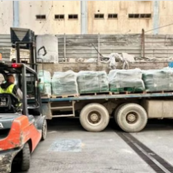 خادم الحرمين الشريفين يرأس جلسة مجلس الوزراء