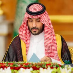 ممثل وفد المملكة أمام «العدل الدولية»: 40 ألف غارة إسرائيلية على غزة خلفت 51 ألف قتيل