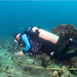 الجامعة الأمريكية بالبحرين تكرم إنجازات طلبتها للعام الدراسي 2024-2025