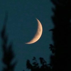 وزير الخارجية السعودي يبحث دعم الشعب السوري مع المبعوث الأمريكي