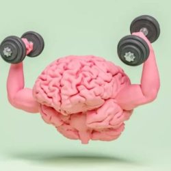 رياح شديدة على عددٍ من محافظات مكة المكرمة