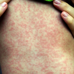 بالرياض: القبض على مقيمة مصرية بتهمة النصب والاحتيال بتصاريح حج وهمية