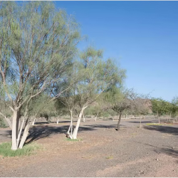 الدفاع المدني يحذر من استمرار الأمطار الرعدية حتى الثلاثاء ويؤكد على تجنب السيول