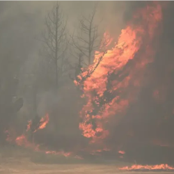 “هيئة العقار” تُنفذ 18 جولة رقابية مشتركة خلال شهر أبريل لضمان الامتثال في السوق العقاري