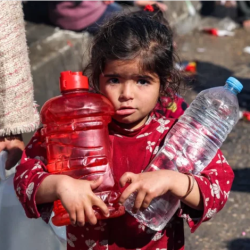 المرور يطرح مزاد اللوحات المميزة إلكترونيًا عبر أبشر اليوم وغدًا