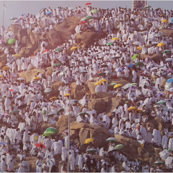 تنفيذ حكم القتل تعزيرًا بأحد الجناة في منطقة الجوف