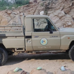 أسعار الذهب تتراجع عالميًا بعد تأجيل رسوم أمريكية على الاتحاد الأوروبي