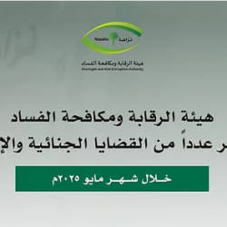 الطقس .. هطول أمطار رعدية مصحوبة برياح نشطة على عدة مناطق