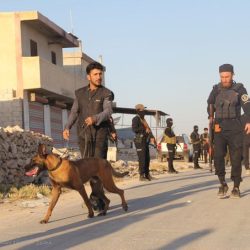 تبوك تشهد تنفيذ حكم القتل تعزيرًا في أربعة جناة.. ثلاثة مصريين ومواطن