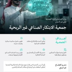 “السعودية للكهرباء” تؤكد استقرار الخدمة خلال يوم التروية بأحمال 316 ميجاوات في منى