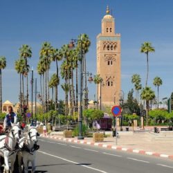 اليونان تصدر تحذيرًا من خطر حرائق الغابات في ست مناطق