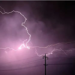 “الصحة العالمية” تطالب بحماية عاجلة لمستشفَي ناصر والأمل في غزة