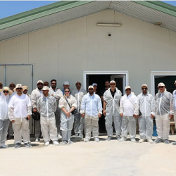 الجامعة السعودية الإلكترونية تعلن فتح باب القبول في برامج الماجستير للعام الجامعي 1447هـ