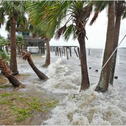 هيئة الأفلام تنضم إلى الرابطة الدولية للمحفوظات السمعية والبصرية