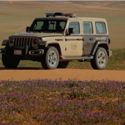 المدينة المنورة تستضيف “أسبوع العقار والمقاولات” الأحد القادم