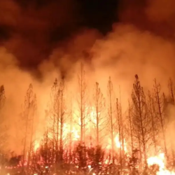 زلزال بقوة 4.9 درجات يضرب بابوا غينيا الجديدة