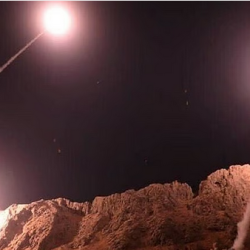 الأمن البيئي يضبط 12 مخالفًا في تبوك والمدينة المنورة