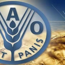 الاتحاد الأفريقي يرحب باتفاق السلام بين رواندا والكونغو الديمقراطية لإنهاء نزاع الشرق