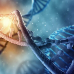 صحة العمال أولًا: حظر العمل تحت الشمس يبدأ اليوم من الظهيرة