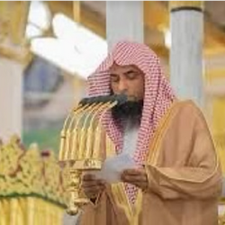 العثور على الصندوق الأسود الثاني للطائرة الهندية المنكوبة