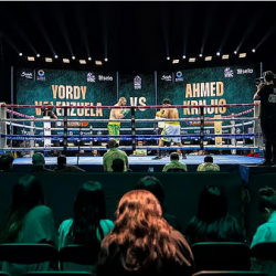 الإمارات: لا تأثير على الدولة جراء التطورات النووية في إيران