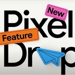 الحج والعمرة: التزم بالتصريح والتعليمات لزيارة الروضة الشريفة