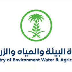 حساب المواطن يودع أكثر من 3 مليارات ريال لمستفيدي دفعة يونيو