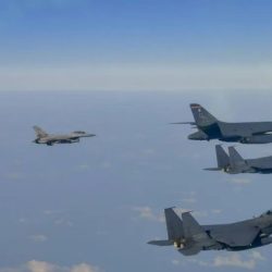 جوجل تُحدّث “Woolaroo” لدعم اللغات المهددة بالاندثار بتقنيات الذكاء الاصطناعي