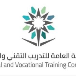 وداعًا “الرائج”: يوتيوب تستبدل قائمة المحتوى الأكثر مشاهدة بتصنيفات مخصصة