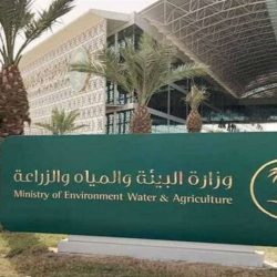 الصين تطلق إنتاج أكبر حقل نفط صخري بحري في بحر بوهاي